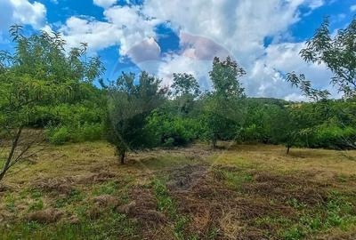 Teren Intravilan de vanzare 3551mp Poiana Copaceni Com Gura Vitioarei - 24