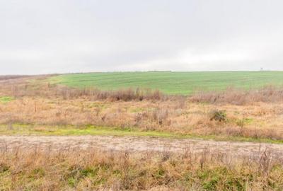 CERNICA - POSTA - TEREN INTRAVILAN CONSTRUCTII 15000 MP! - 14