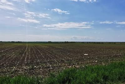 Comuna Vidra, Județul Ilfov - Str. Oituz  -pentru construire ansambu de case - 2