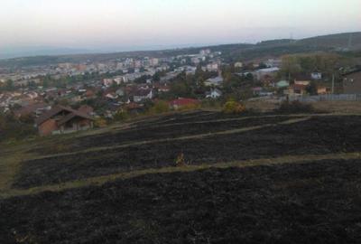 Teren Construcții intravilan de 7000 mp, în Vulcan - 1