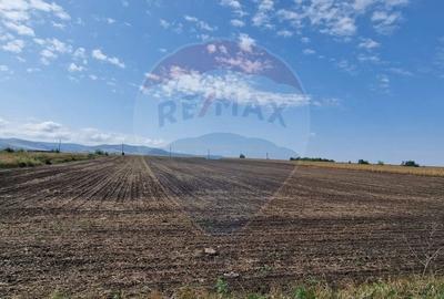 Teren Construcții intravilan de 4874 mp, în Nord - 4