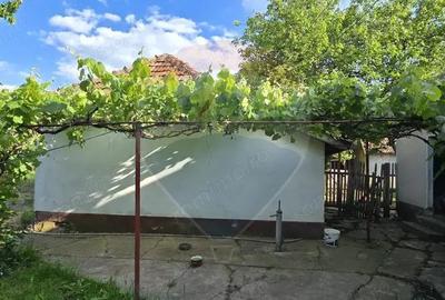 Casa cu livada 2880 mp in Adea la 4km de Chi?ineu-Cri? - 8