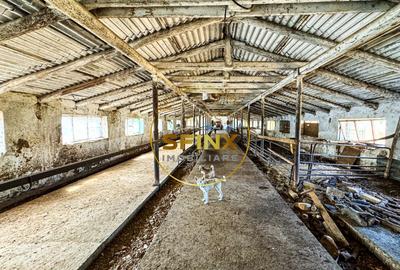 Chiselet, Calarasi, teren intravilan cu potential de investitie 62000 mp - 4