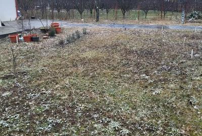 Casă în Olteni - 1