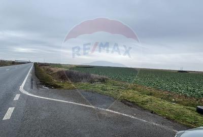 Teren intravilan 80500mp. aproape de nodul rutier de pe DX Oradea-Arad - 7