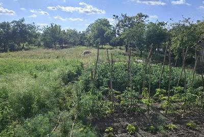 Casă cu 5 camere cu Teren 2117 Mp în Nădlac - 2