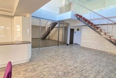 Penthouse Nordului - Complex Persepolis 443 mp utili - 4