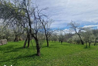 Teren de 3500 mp, în Ghioșești - 8