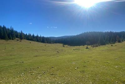 Teren Construcții de 16257 mp, în Poiana Horea - 1