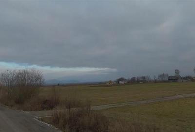 Teren intravilan in Sineu, com. Remetea - 5