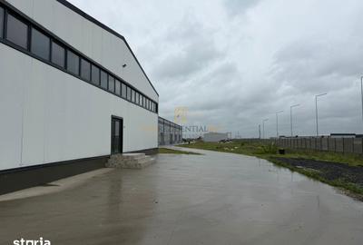Spațiu comercial, de 589 mp, în Cernica - 7