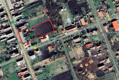 Casă cu 6 camere cu Teren 4300 Mp în Otelec - 3