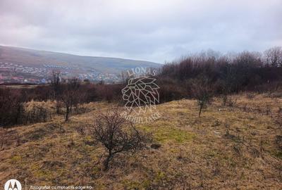 Teren agricol intravilan de 10000 mp, în Chinteni - 2