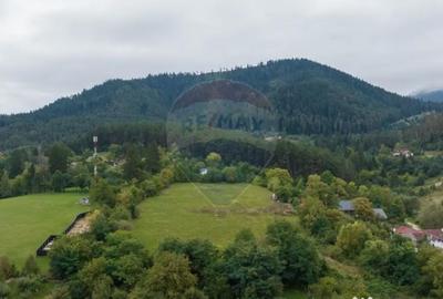 Teren de 2449 mp, în Poiana Angelescu - 3