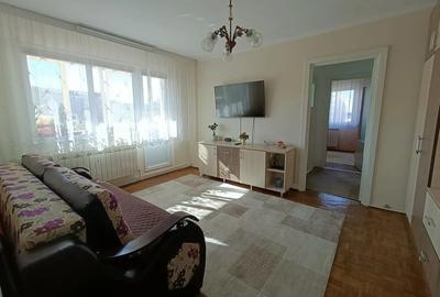 Apartament cu 2 camere semidecomandat în Govândari - 2