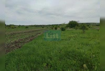 Teren de 800 mp, în Sopor - 3