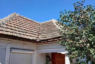 Casă cu Teren 1132 Mp în Central - 5