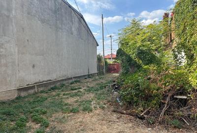 VIGAFON - Teren intravilan Traian VIGAFON - Teren intravilan Traian - 2