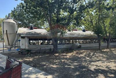 Spațiu industrial, de 5,000 mp, în Tișița - 31