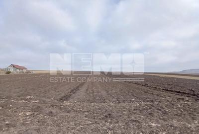 Teren agricol intravilan de 7700 mp, în Moara - 4