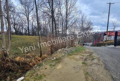 Teren de 2800 mp, în Arefu - 3