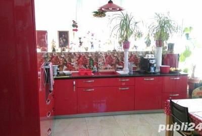 Casă cu 13 camere cu Teren 1410 Mp în Dumbrăvița - 8