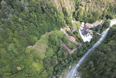 Teren intravilan de 1500 mp pe deal in Moneasa - 6