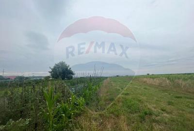 Casa de vanzare in Orlat cu 2200 mp teren parcelabil - 13