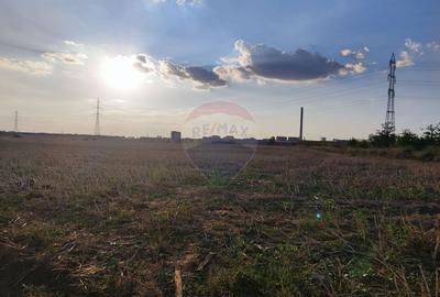 Teren Construcții intravilan de 10000 mp, în Berceni