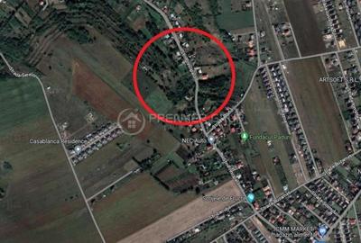 Teren cu utilitati - 12.500mp, Vorovesti - Miroslava - 2