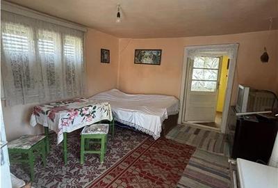 Casă individuală cu 4 camere cu Teren 5526 Mp în Cheșa - 4