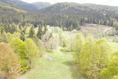 Teren de 7500 mp, în Cheia - 3