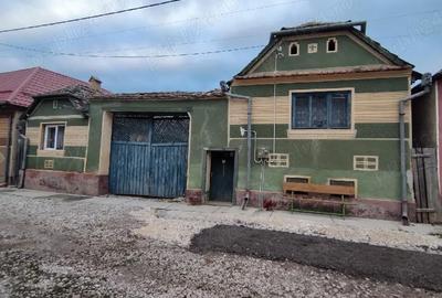 Casă cu Teren 3000 Mp în Grânari - 1