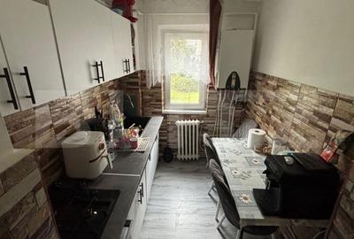 Apartament cu 2 camere, renovat complet - Zona Minerului, etaj 1 - 4