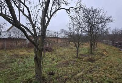 Casă cu Teren 6330 Mp în Poienari - 3