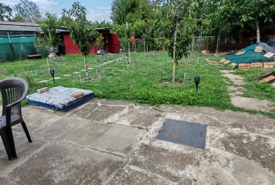Casa de vanzare Aradul Nou