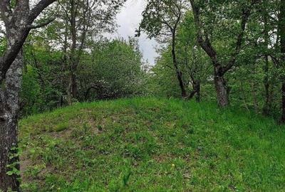 Teren de 5150 mp, în Șotrile - 3
