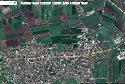 Teren de 25000 mp, în Exterior Vest - 2