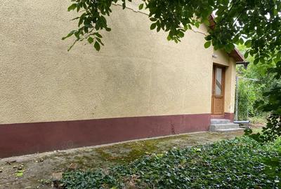 Proprietar, vand casa in Cenei, central - 5