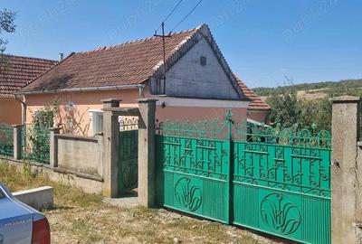 Casa la tara 40 km de Oradea - 3