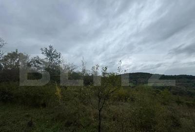 Teren intravilan in Boholt, 11.510 mp - 2