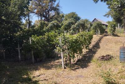 Teren Construcții intravilan de 2828 mp, în Dorolea - 6
