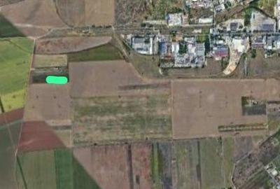 Teren de 6000 mp, în Exterior Vest - 2