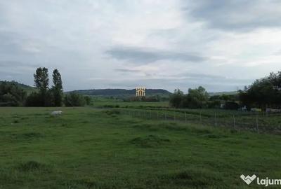 Teren de 3953 mp, în Fălticeni - 7