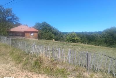 Teren de 10378 mp, în Brebu - 2