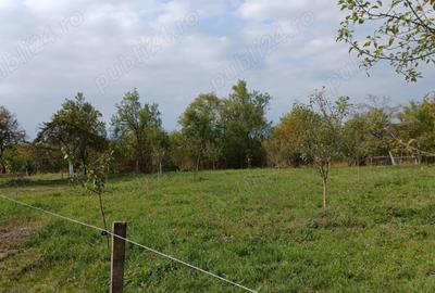 Loc de casa cu livada ?i corp de cladire - 4