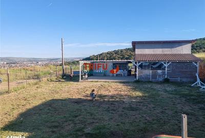 Spațiu comercial, în Micești - 14