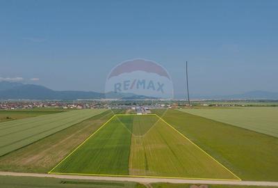 Teren 42,000mp Tarlungeni / Strada Izvor - 8