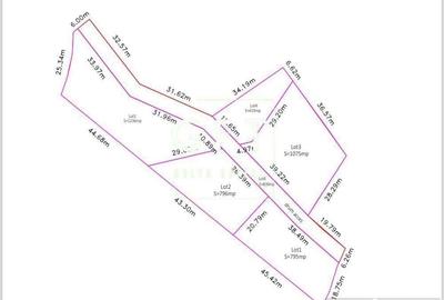 Teren de 3039 mp, în Colibița - 9