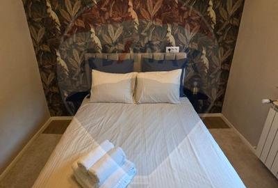 Apartament cu 5 camere semidecomandat, mobilat în Kiseleff - 44